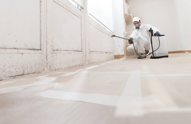 24/7 Emergency Mold Remediation experts in Stirling, NJ